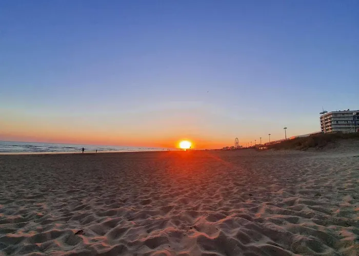 Sh290-046 - 4 Couchages Hilaire De Riez